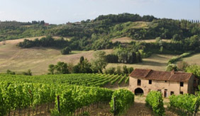 fattoria_di_san_quintino_front